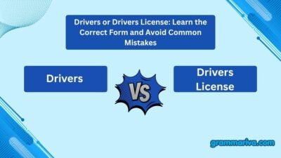 Drivers or Drivers License