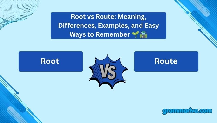 Root vs Route